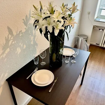 아파트 Spectecular Rhineview Fair Parking Luxury 12 Pers *