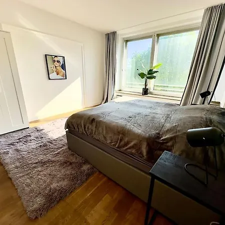 Spectecular Rhineview Fair Parking Luxury 12 Pers Apartment Dusseldorf
