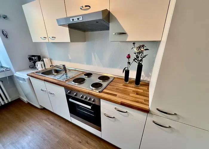 Spectecular Rhineview Fair Parking Luxury 12 Pers *