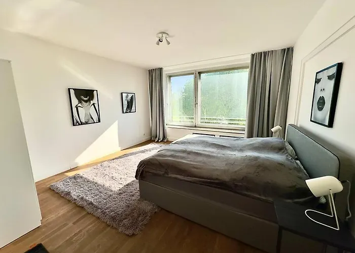 Apartment Spectecular Rhineview Fair Parking Luxury 12 Pers *