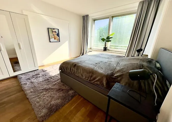 Spectecular Rhineview Fair Parking Luxury 12 Pers Apartment Düsseldorf