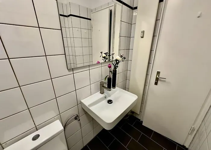 Spectecular Rhineview Fair Parking Luxury 12 Pers *