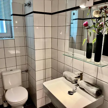 Spectecular Rhineview Fair Parking Luxury 12 Pers