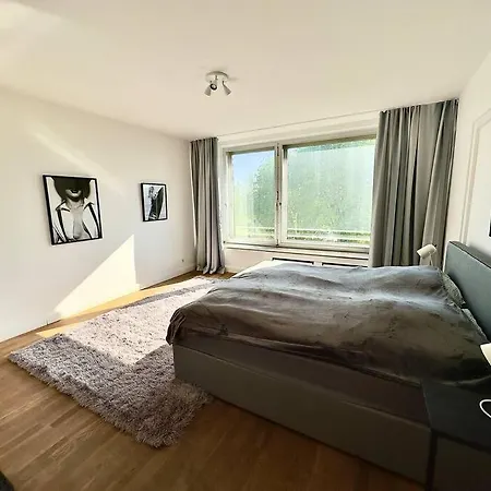Apartment Spectecular Rhineview Fair Parking Luxury 12 Pers *