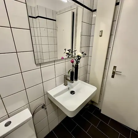 Spectecular Rhineview Fair Parking Luxury 12 Pers *